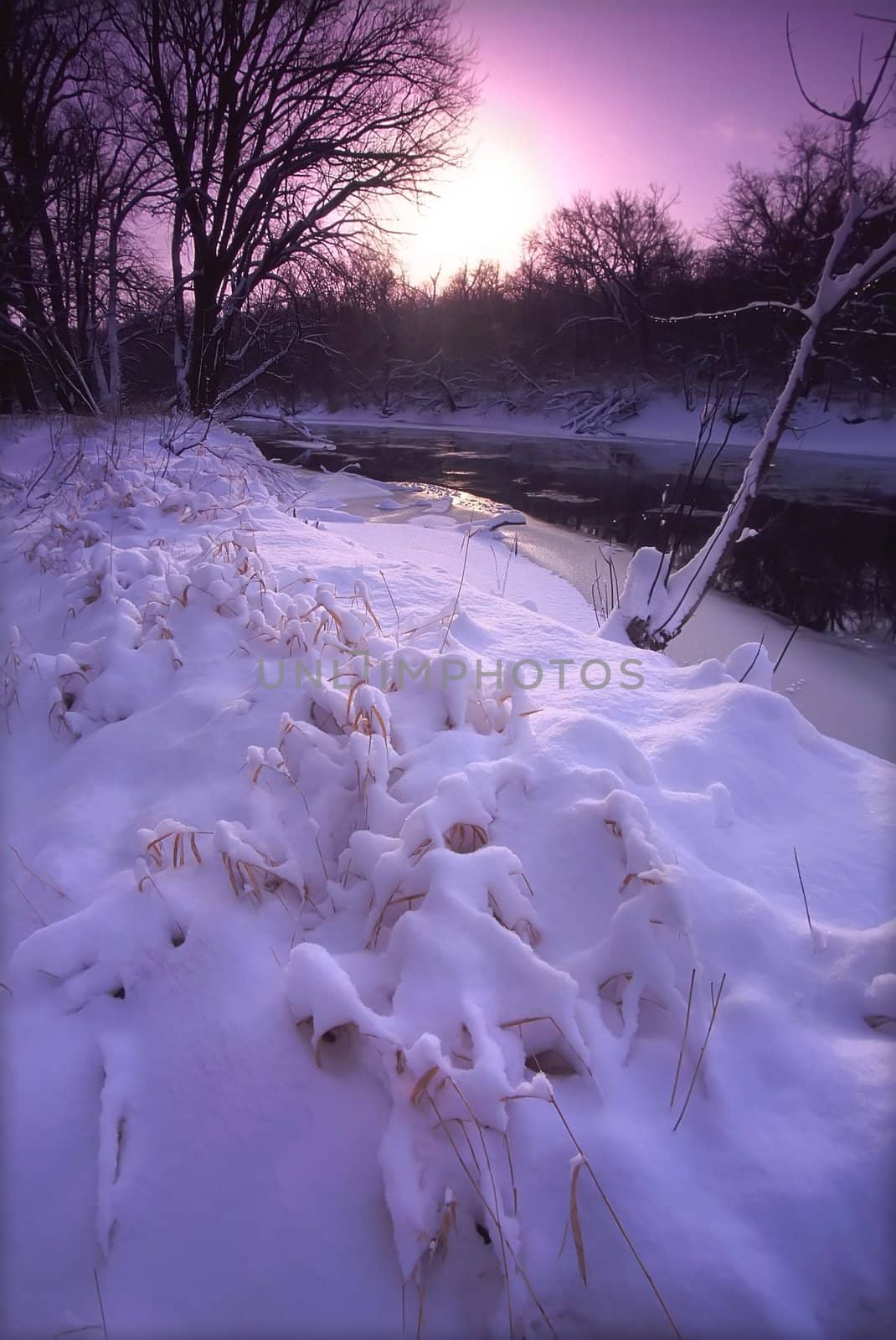 The sun rises over fresh snowfall at Blackhawk Springs Forest Preserve in northern Illinois.