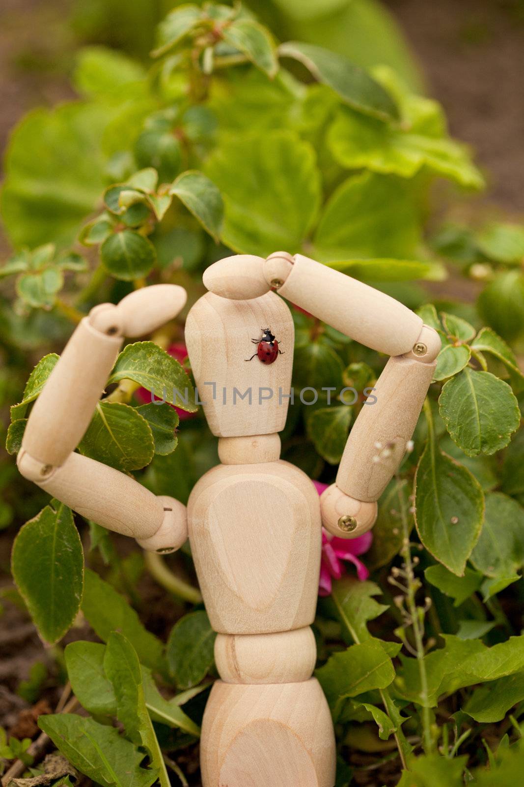 The ladybird sits on the toy wooden man