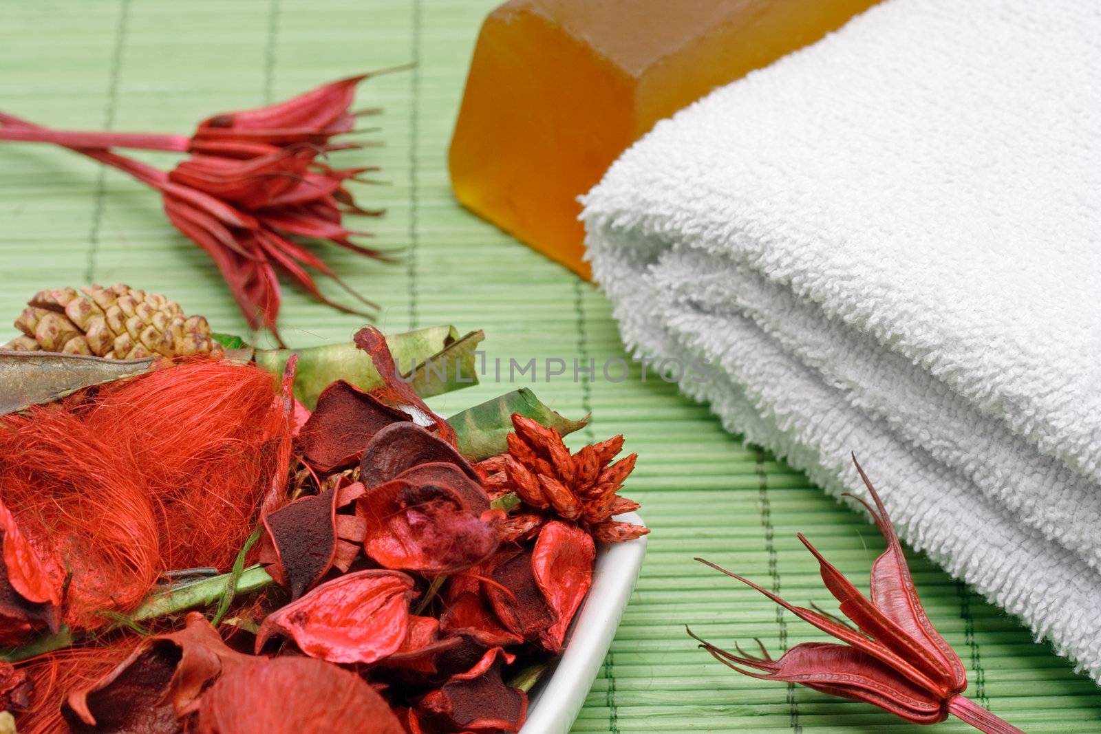 Green and red spa ingredients by Hbak