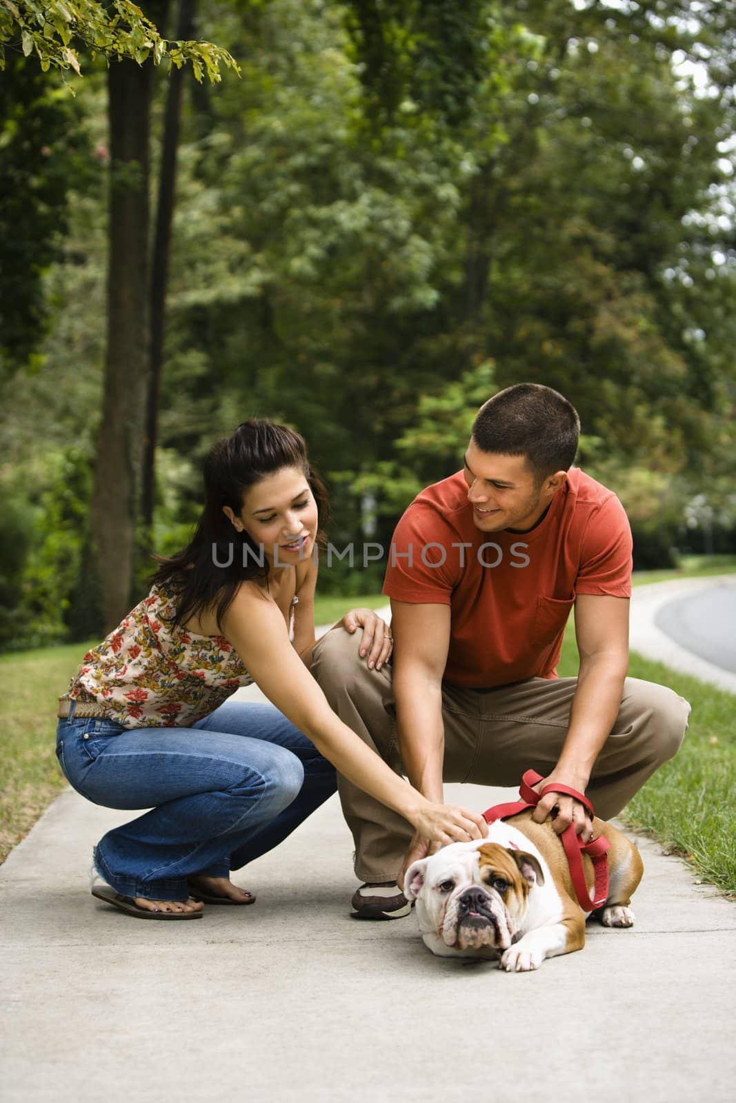 Caucasian mid adult couple petting English Bulldog on sidewalk.