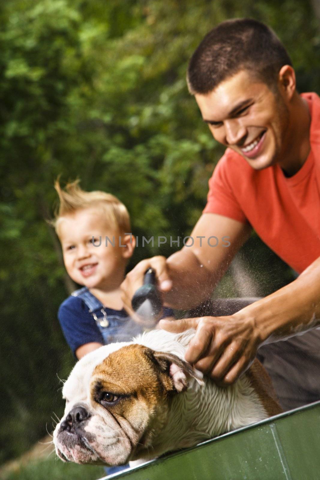 Caucasian father and toddler son giving English Bulldog a bath outdoors.