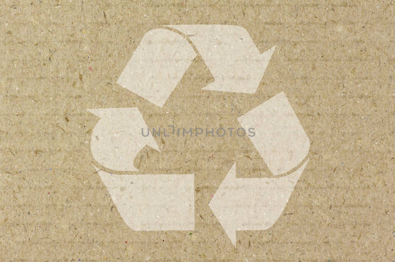 Paper Recycling Concept