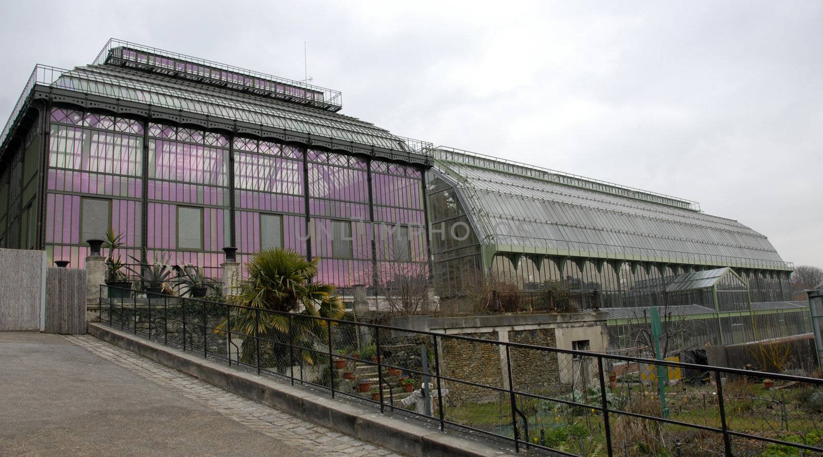 greenhouses of museum in Paris by cynoclub