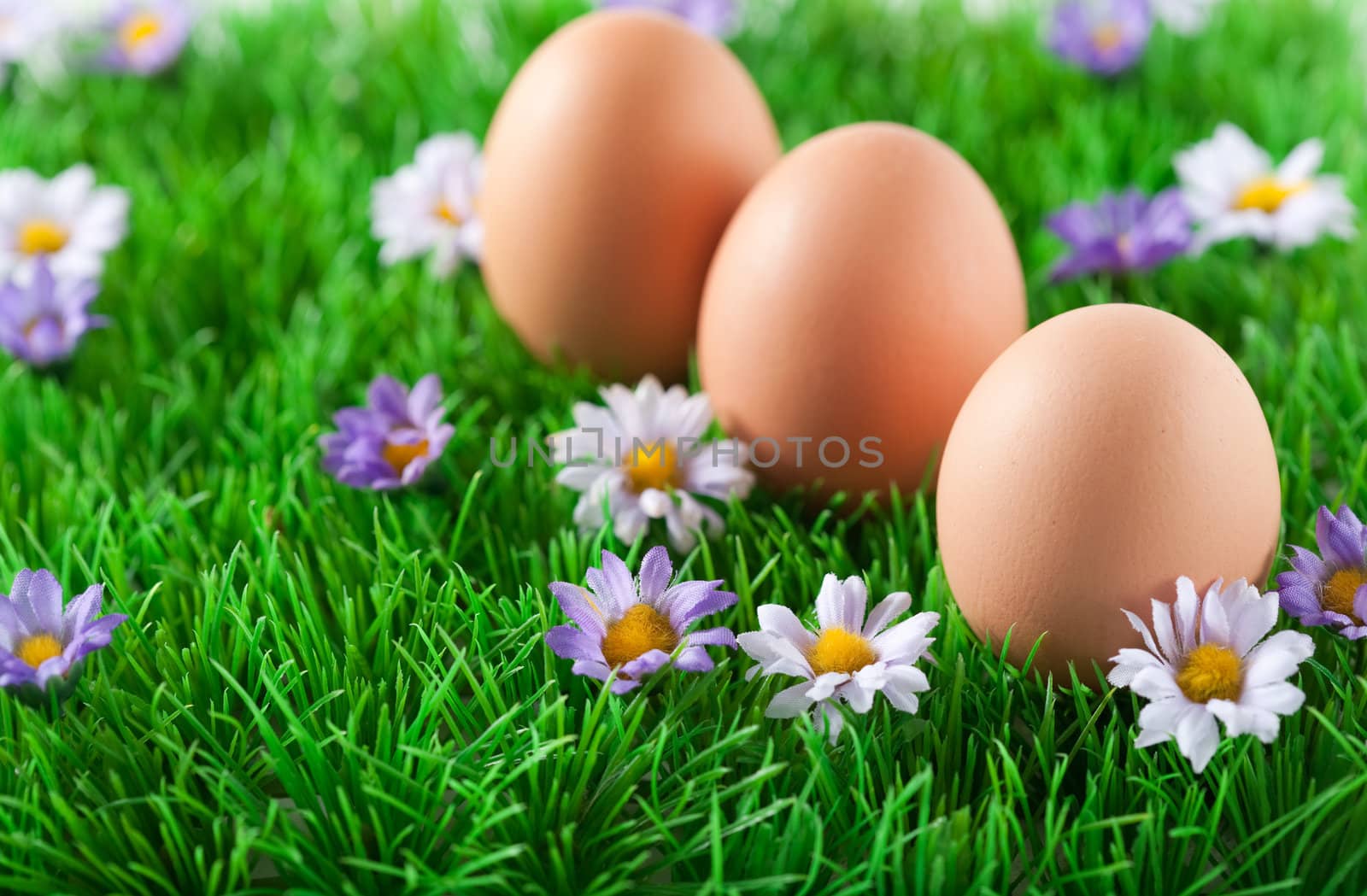 Three easter eggs in colorful meadow with flowers