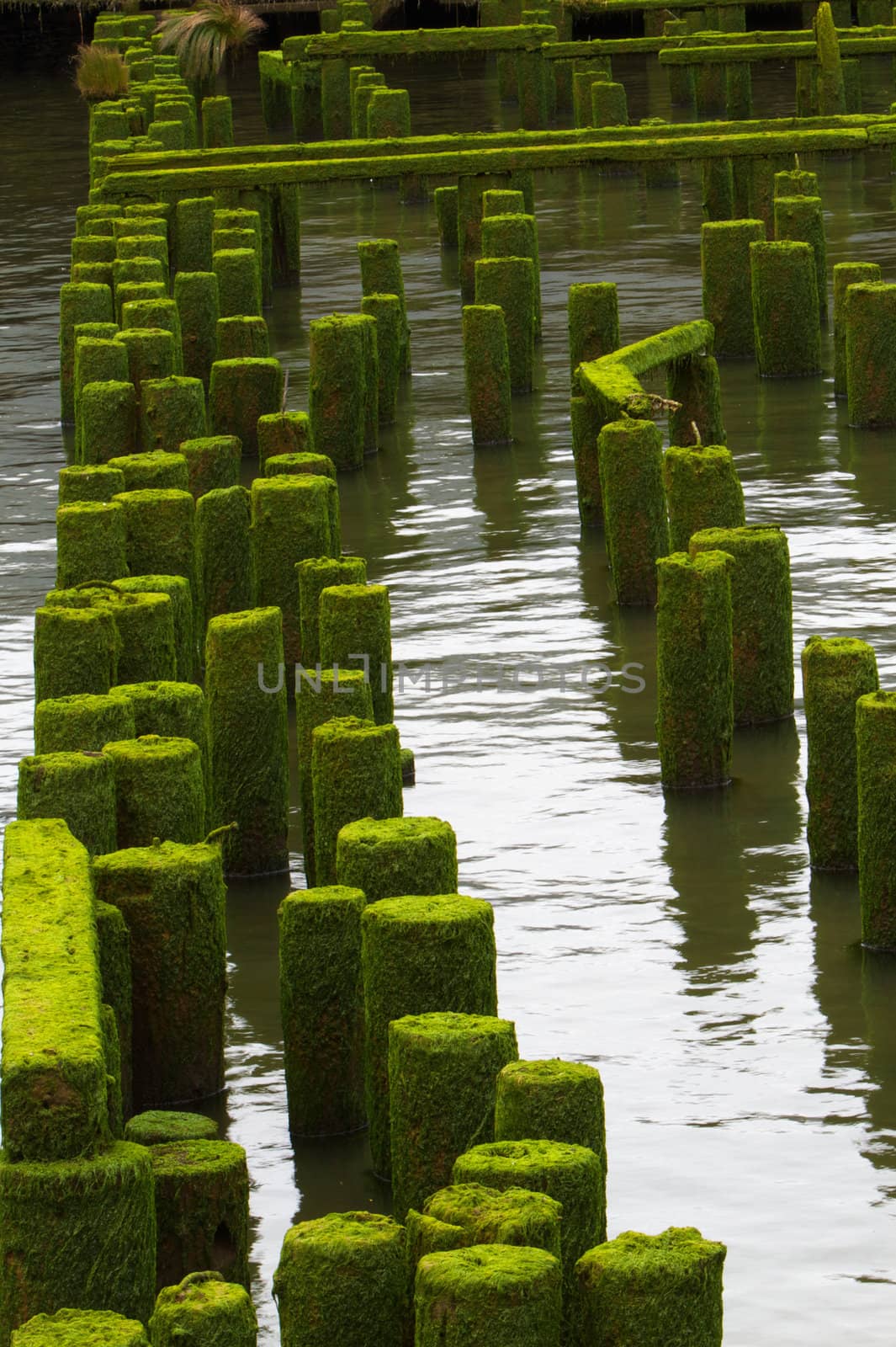 Ocean Pier Ruins far by bobkeenan