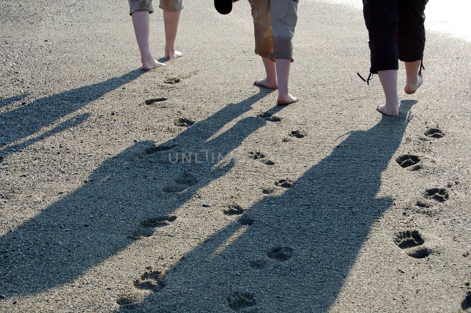 walking down the beach by mojly