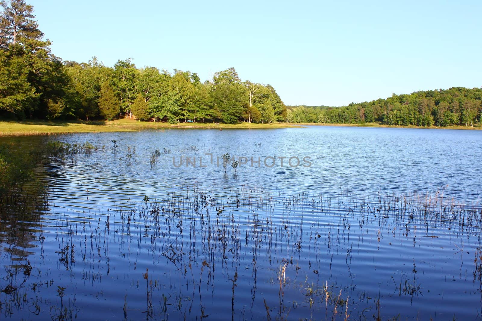 Haynes Lake at Tishomingo State Park in northern Mississippi.