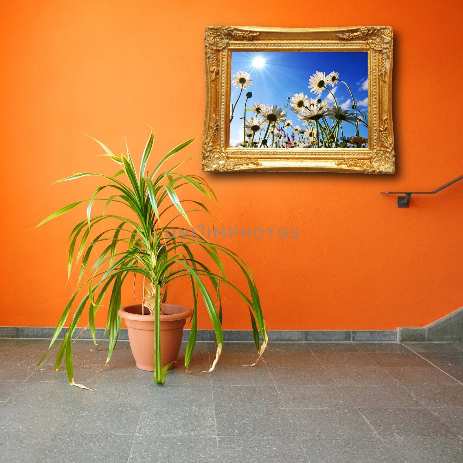 picture on a wall and plant showing interior concept