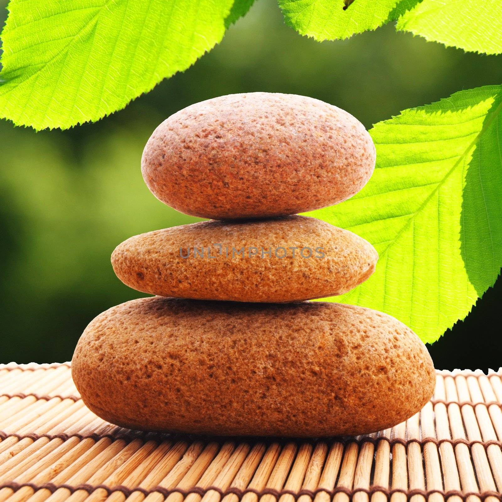 zen stone and green leaf showing spa or wellness concept