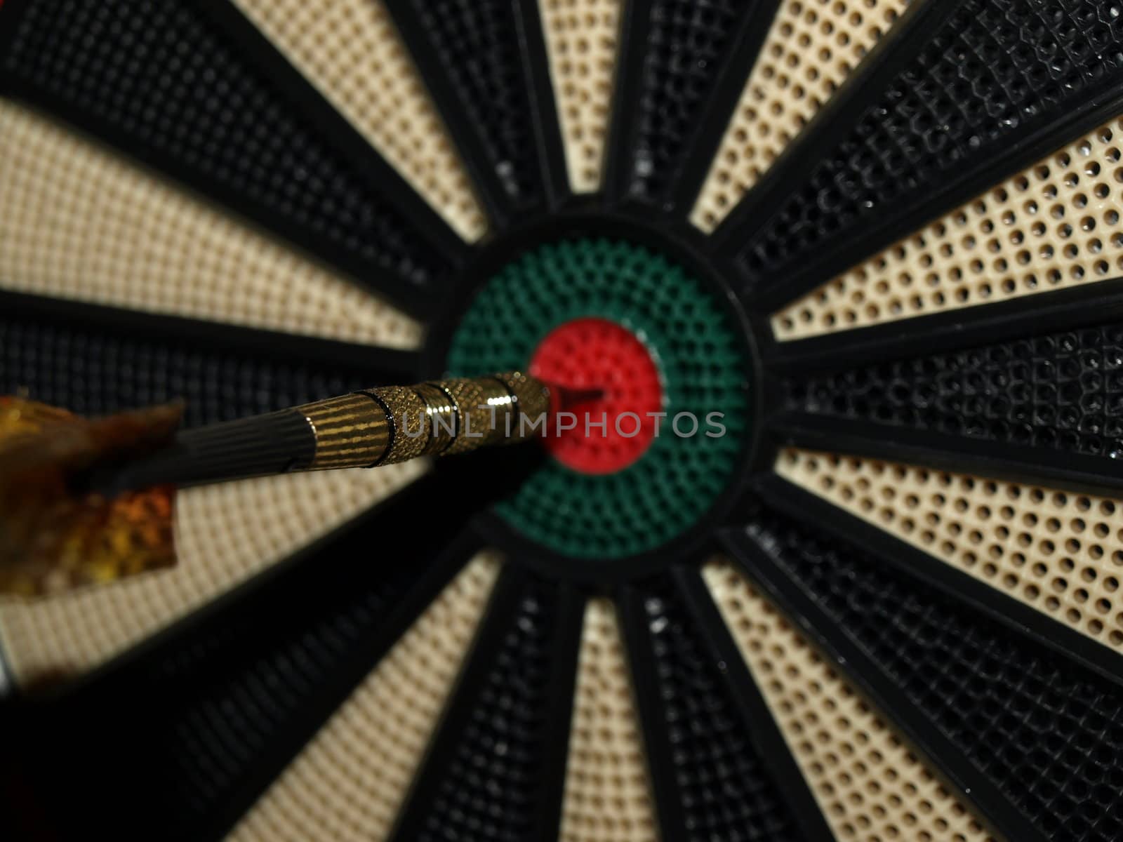 Bullseye by northwoodsphoto