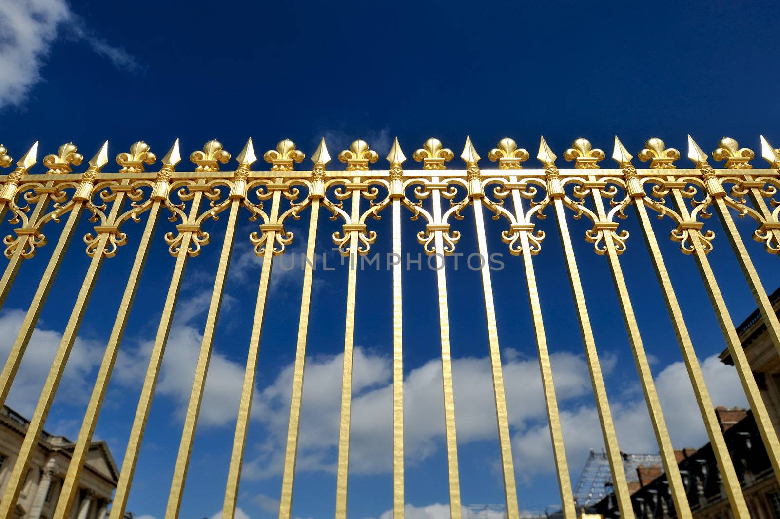The part from the Golden Gate of Versailles Palace
