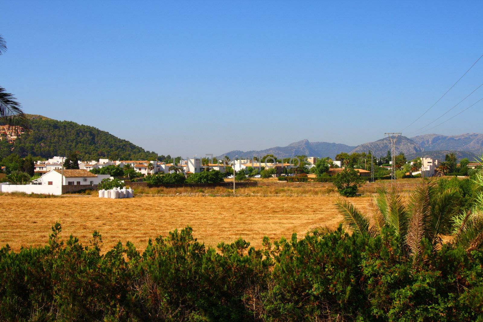 Porto pollensa mallorca