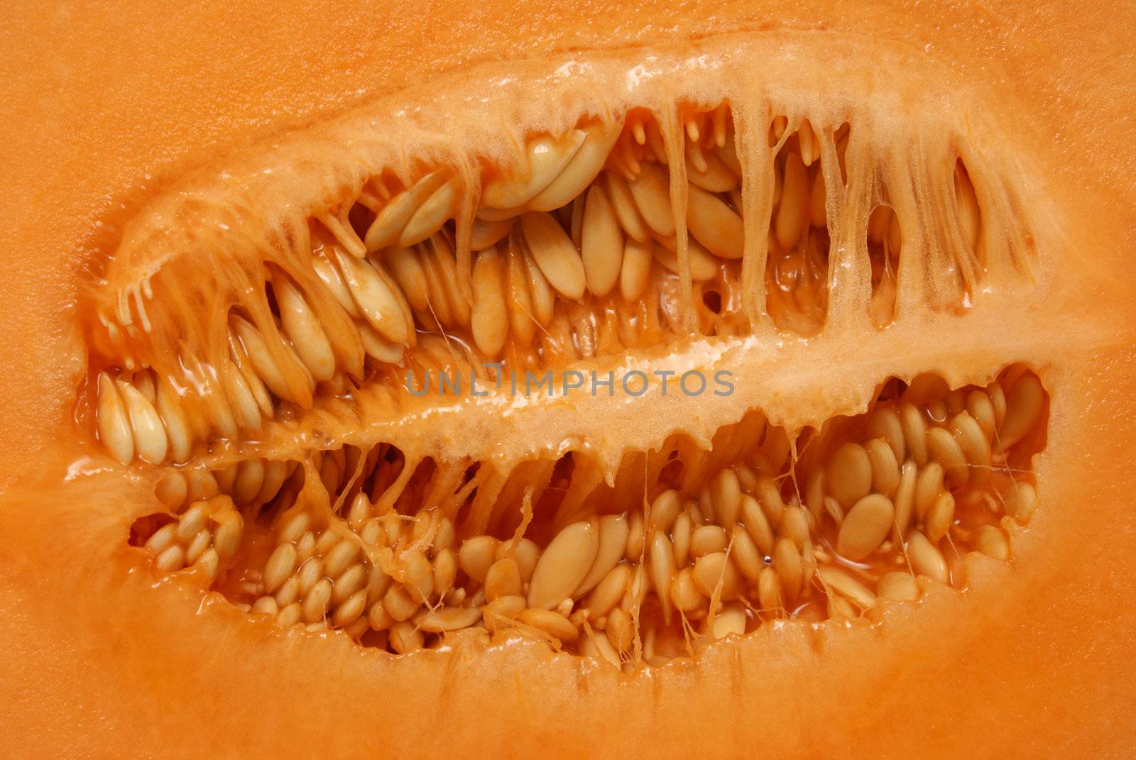 The inside of a frshly cut cantaloupe.