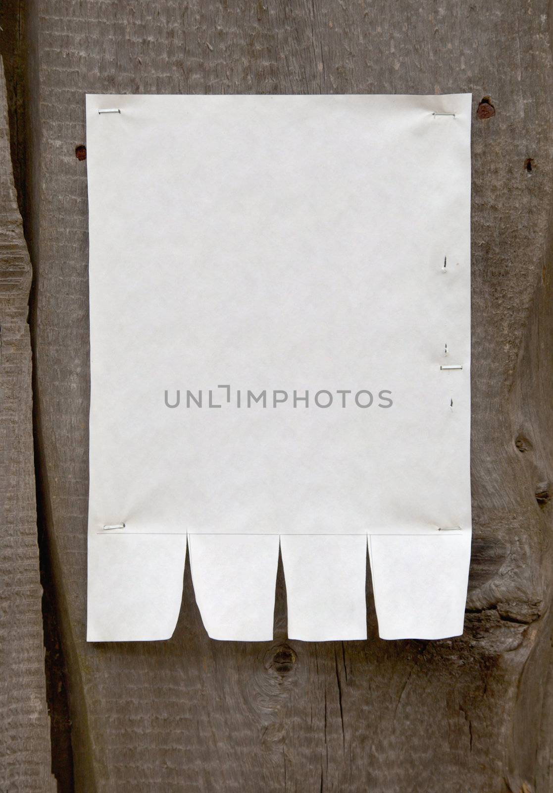 The paper announcement on a wooden fence - a template