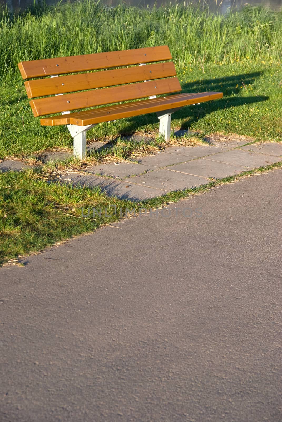 A bench a sunny summer morning