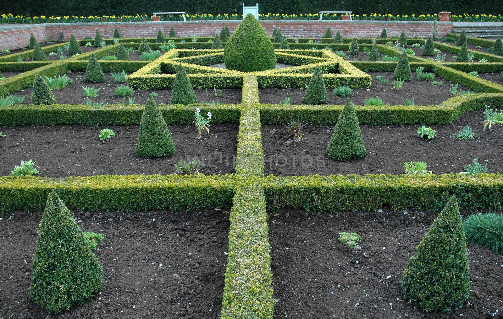 An English Knot Garden by TimAwe
