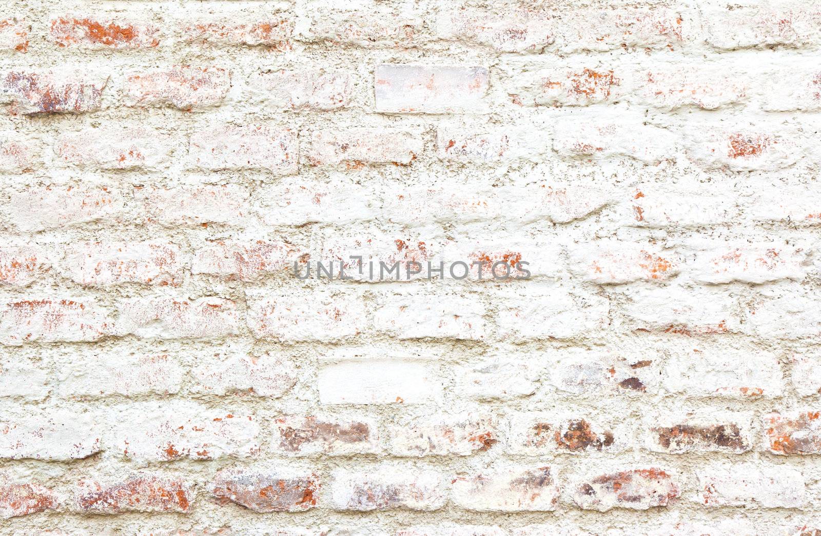 brick wall by magann