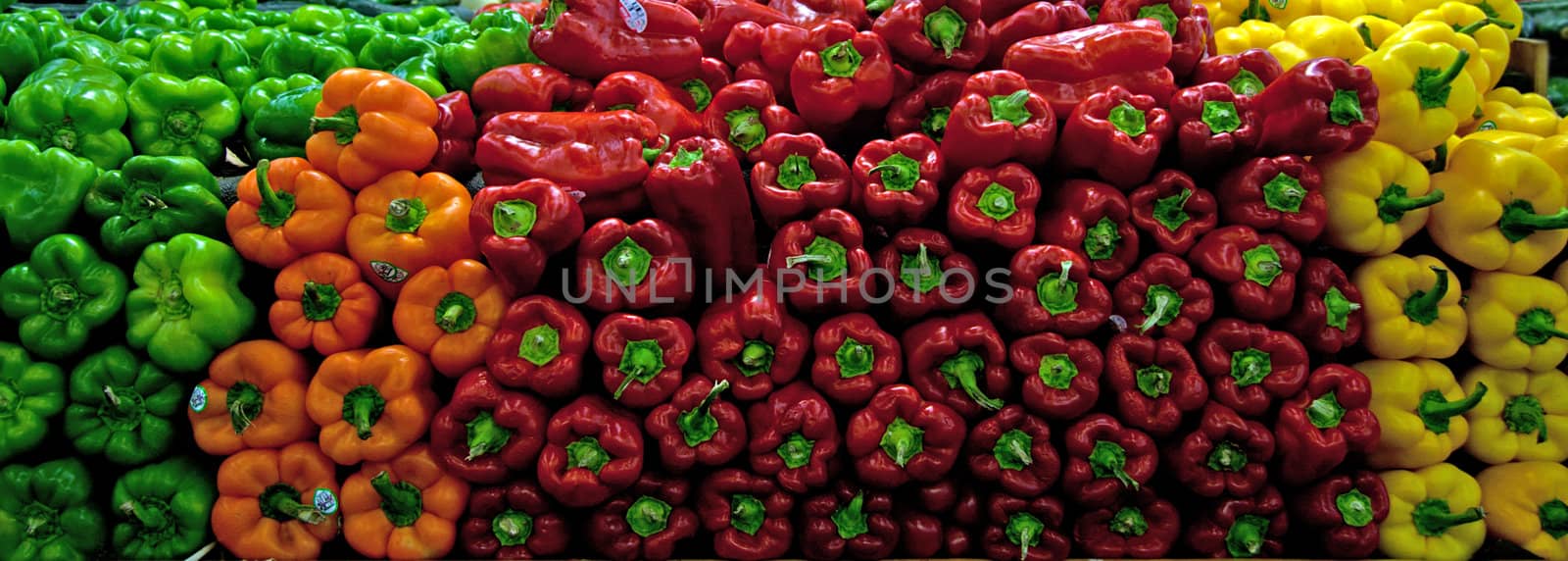 Fresh organic Bell Pepper, 4 colors on store shelf for sale