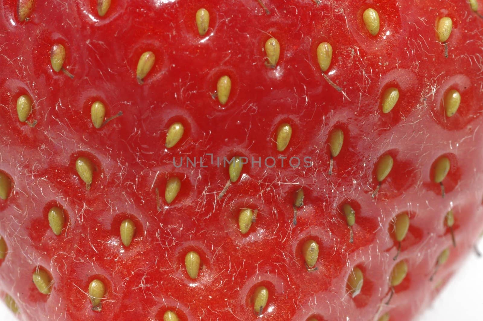 A close up of a fresh strawberry