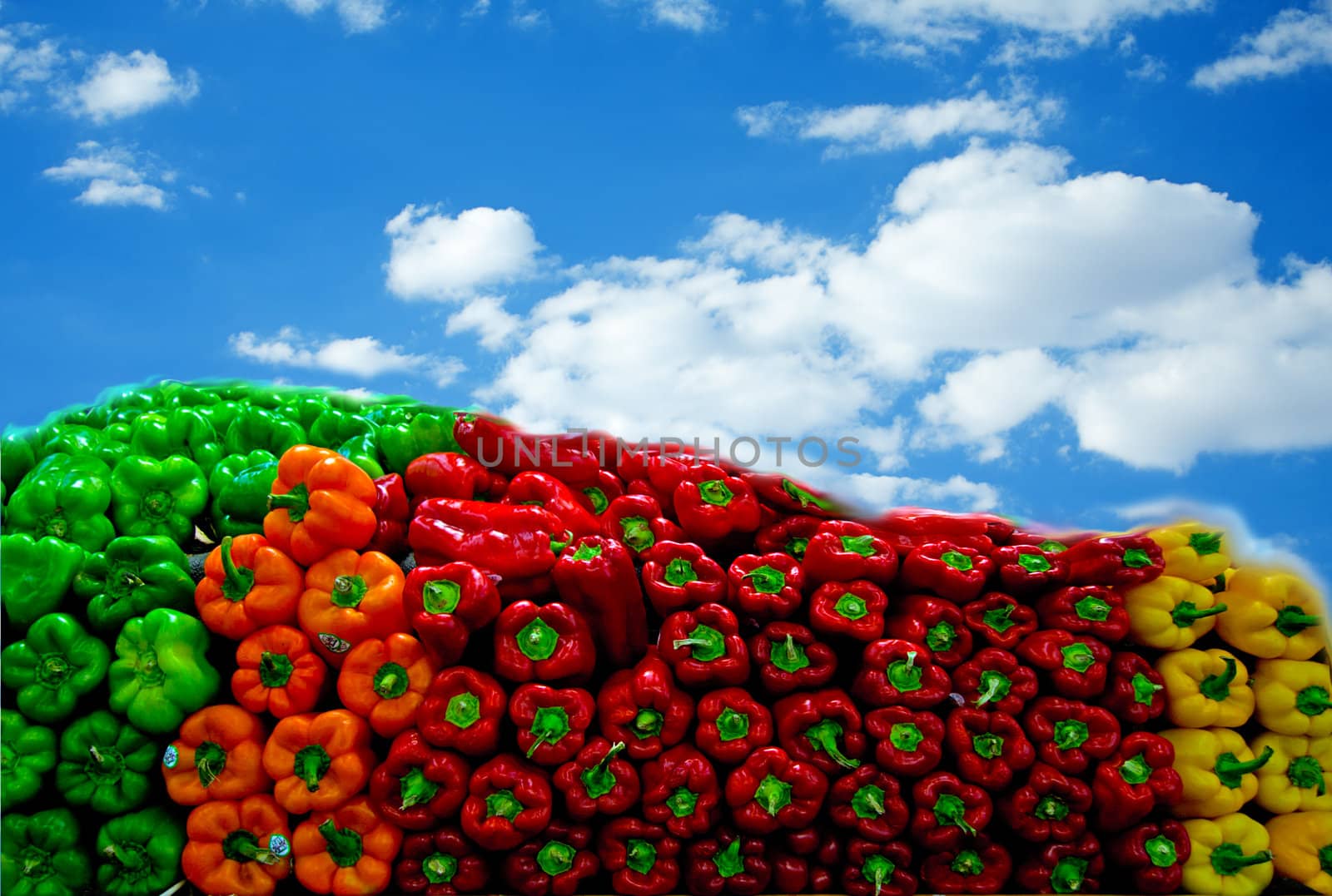 Bell peppers in blue sky