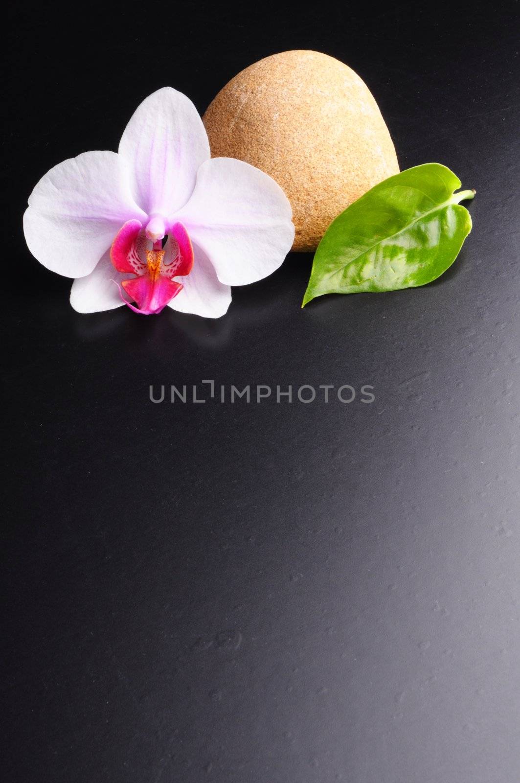 spa or zen concept with stones showing healthy lifestyle or nature