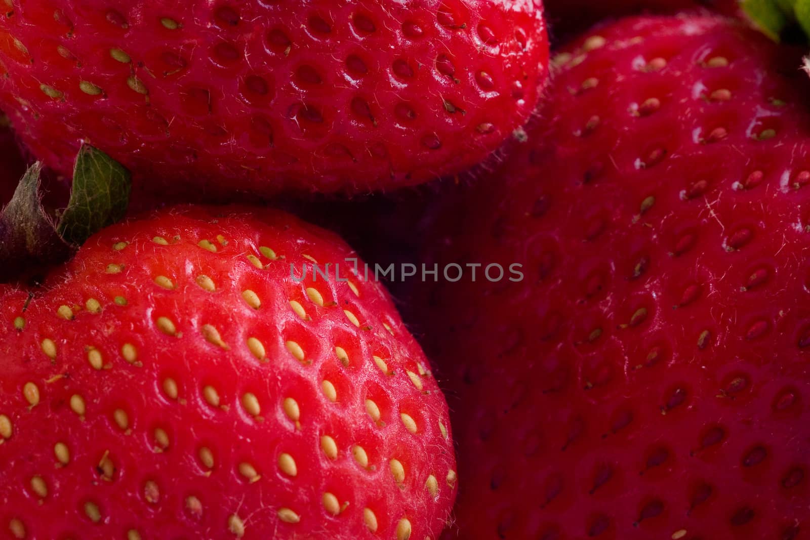 Strawberries Macro by CalamityJohn