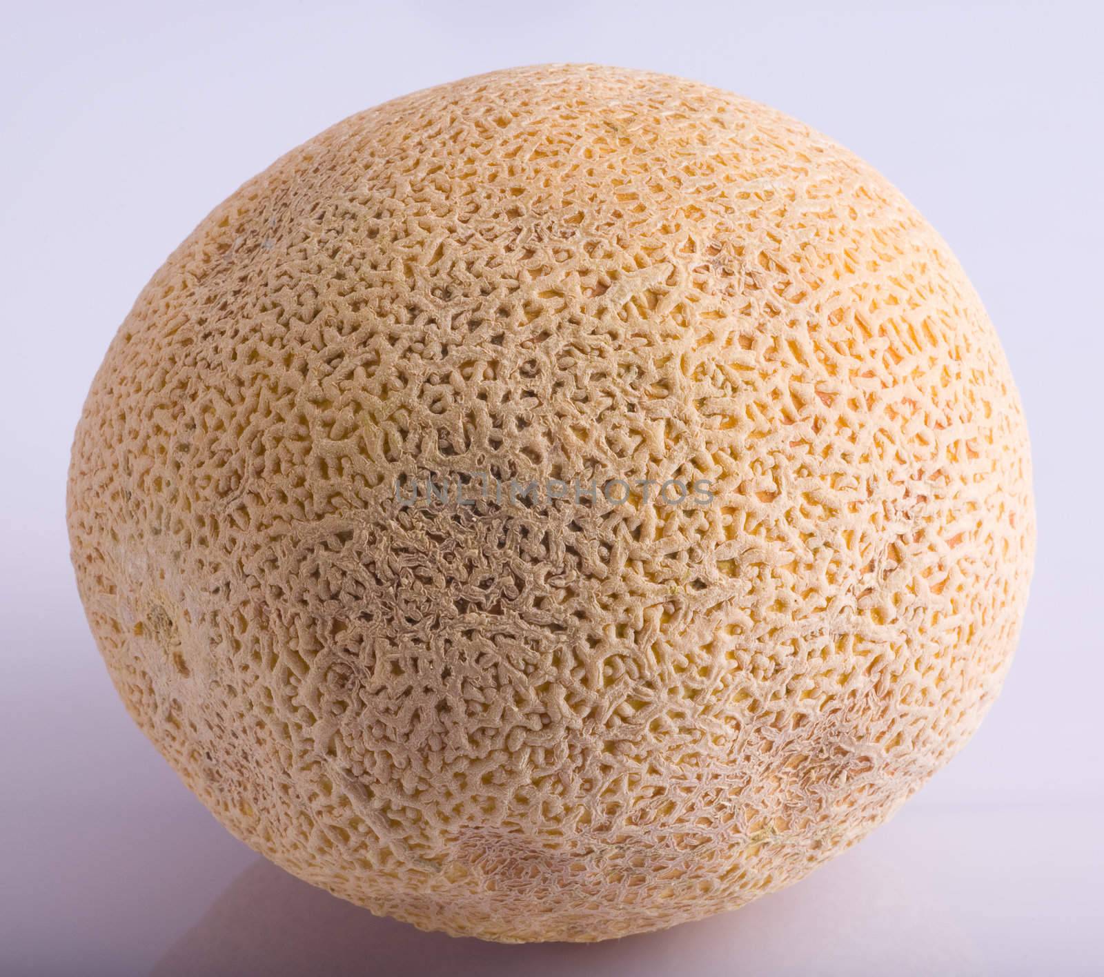 A cantaloupe (musk melon) on a white reflective background.