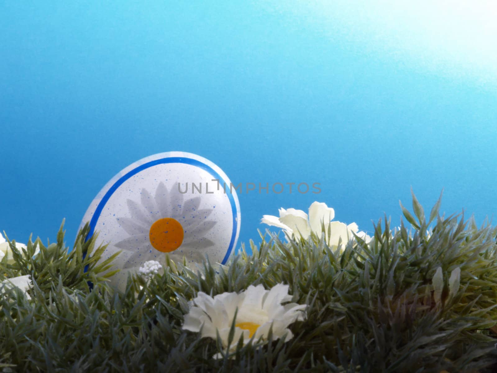 handpainted daisy design on easter egg, artificial grass and blossoms, shades of blue background