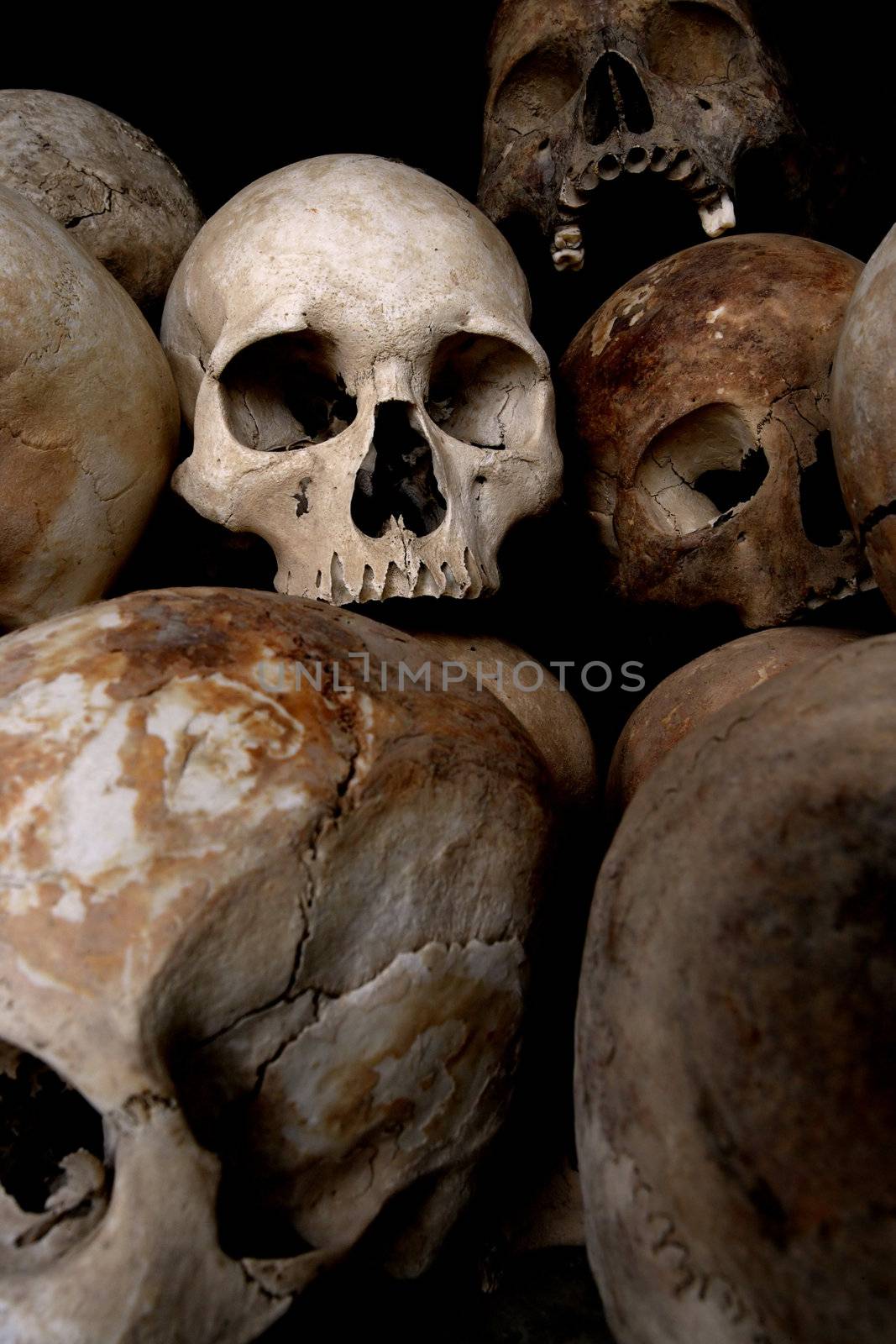 A pile of skulls from the Killing Fields in Phnom Penh, Cambodia.
