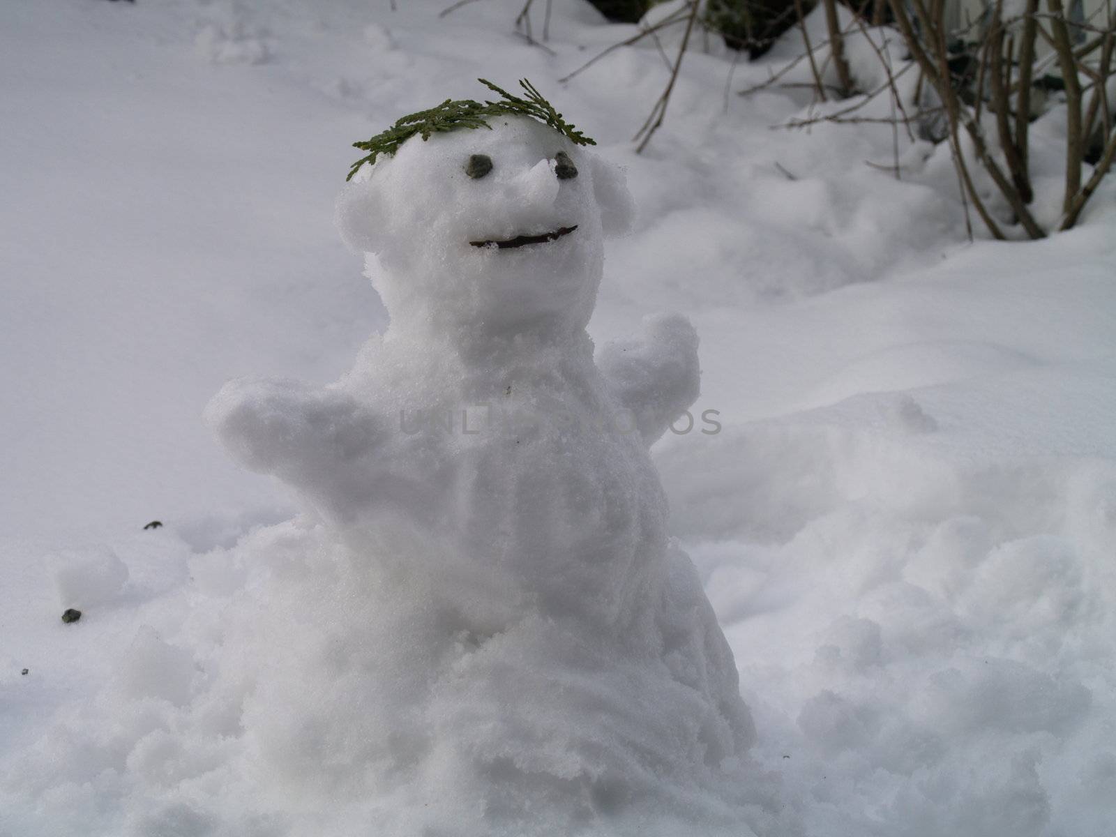 snowman by viviolsen