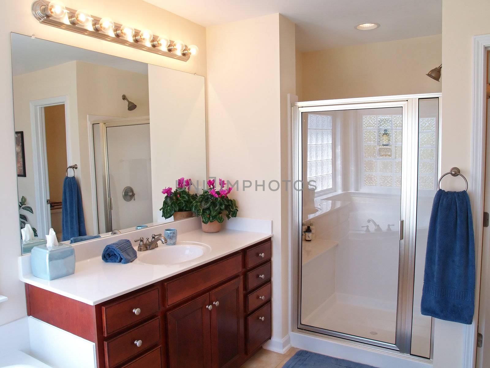 Modern Bathroom with a wooden vanity, glass door on the shower, and a large mirror with lights above.