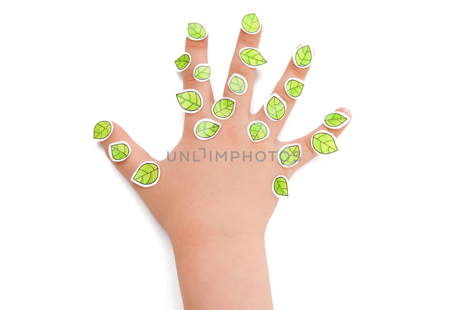 A small hand with green leaves