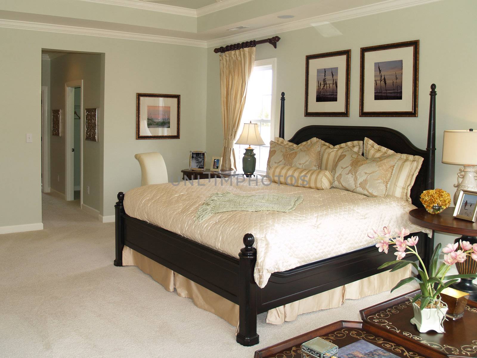 Luxury master bedroom suite in an upscale american home showing the king sized bed and the hallway to the bath area.