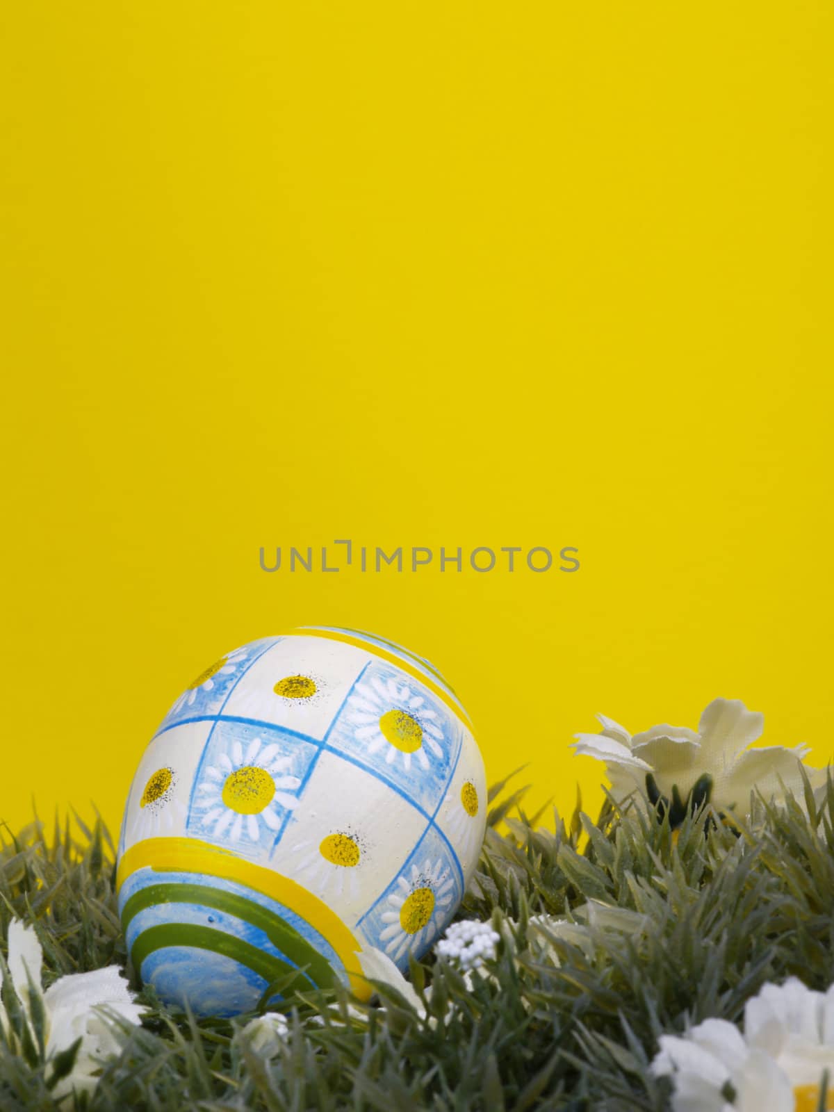 handpainted daisy design on easter egg, artificial grass and blossoms, yellow background