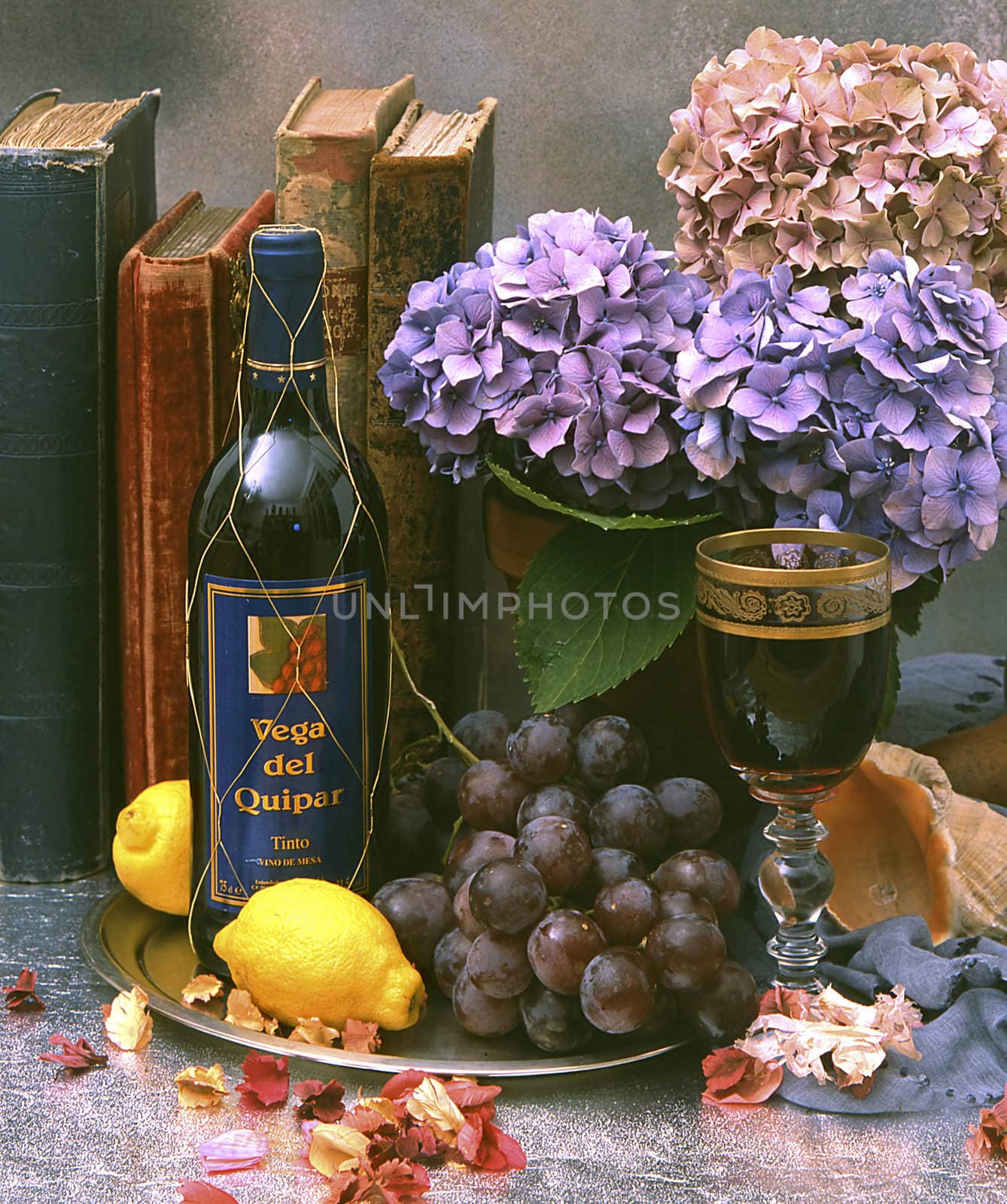 still life with a vine and books