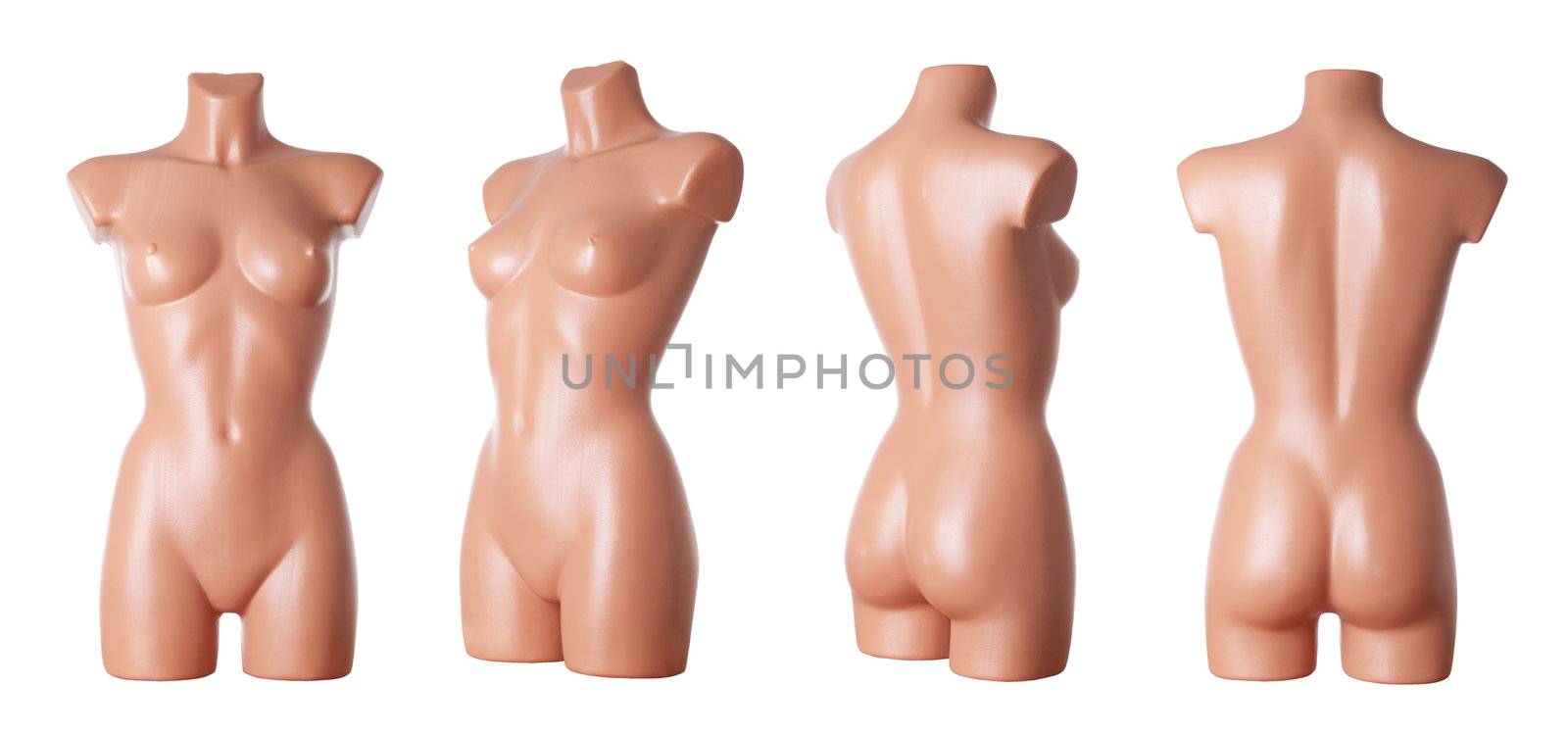 Different views on female dummy body isolated in studio