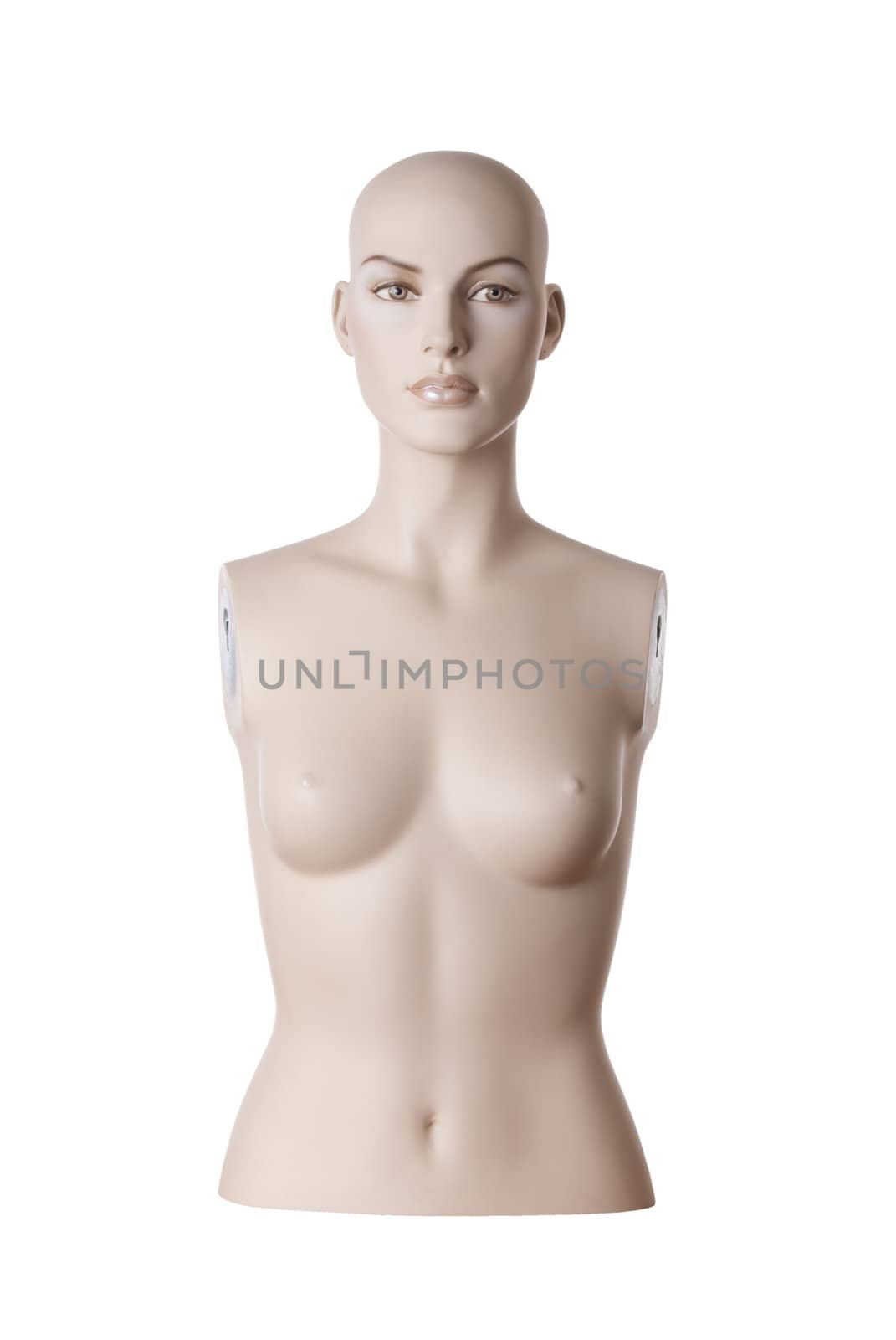 Female mannequin torso | Studio isolated by zakaz