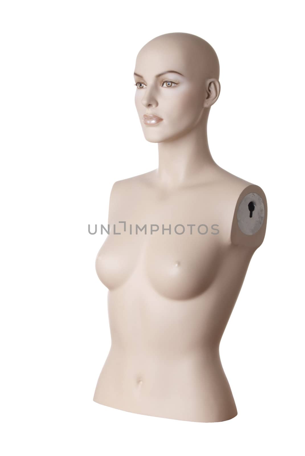 Plastic female detailed dummy torso and head. Isolated on white background