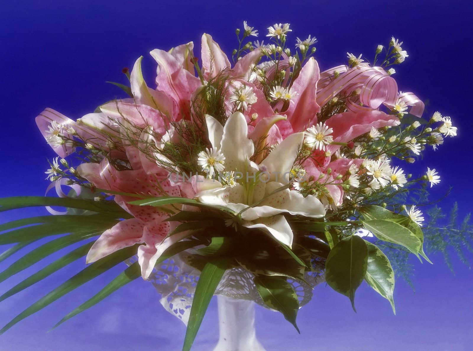 pink lilys in white vase