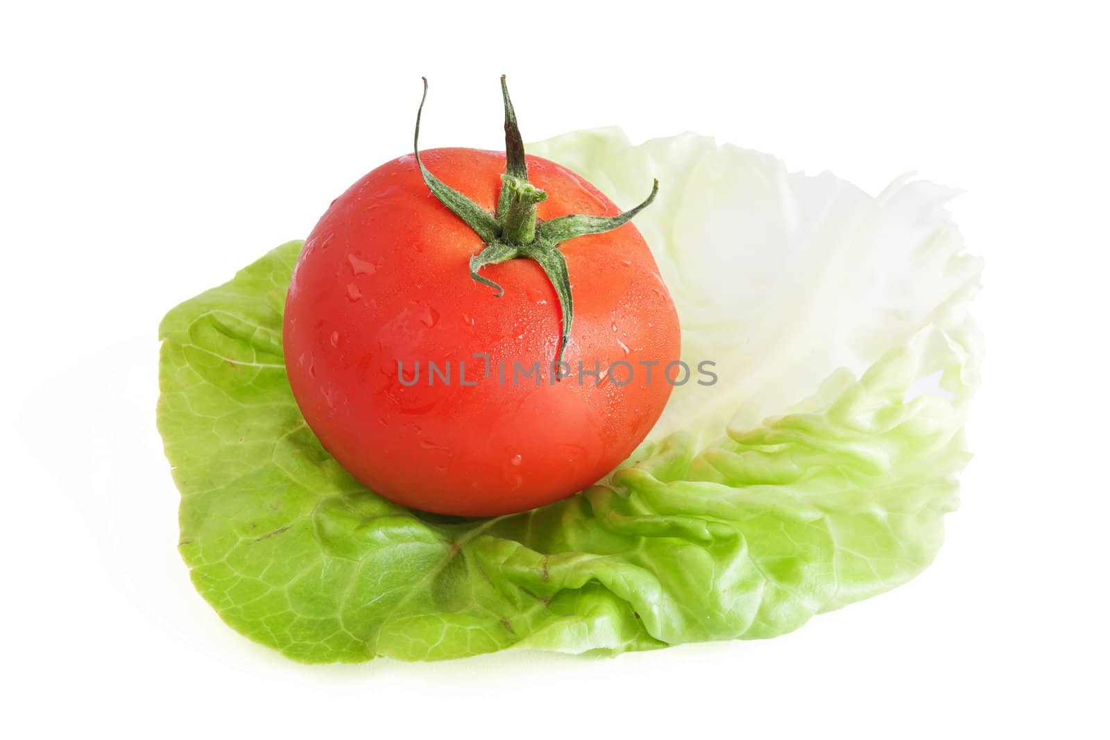 one tomato on a green lettuce leaf isolated on white background with clipping path