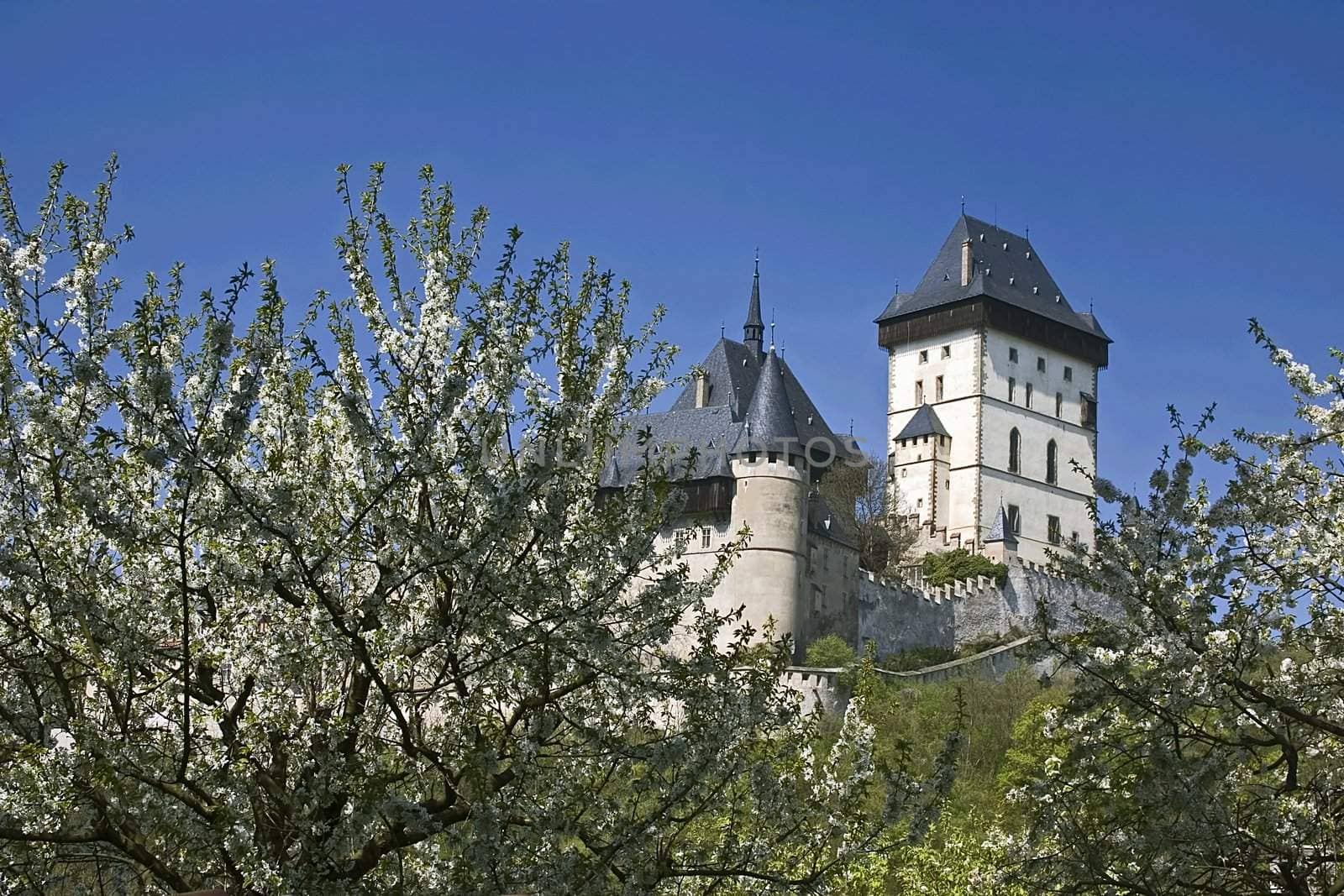 spring view to the Karlstejn castle in Bohemia