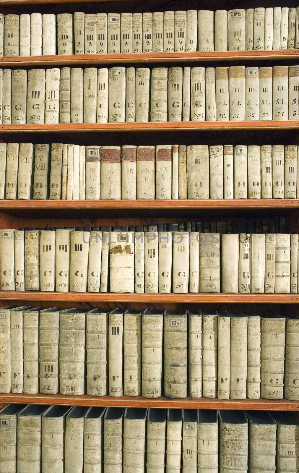 bookcase with a backbones of vintage books