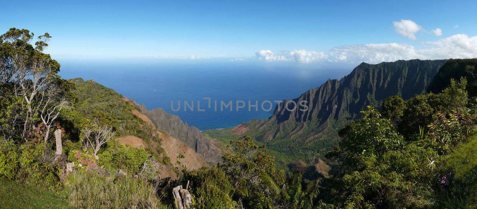 Wide angle view of the Kalalau Valley along the Na Pali Coast on the north shore of Kauai, Hawaii