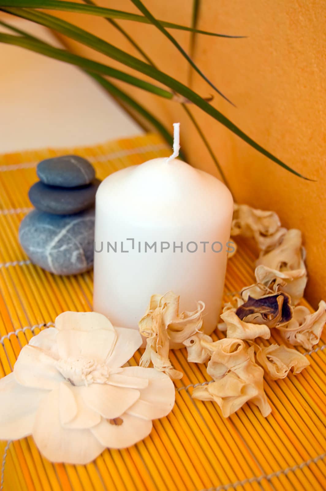 Candles, plants representing spa still life concept