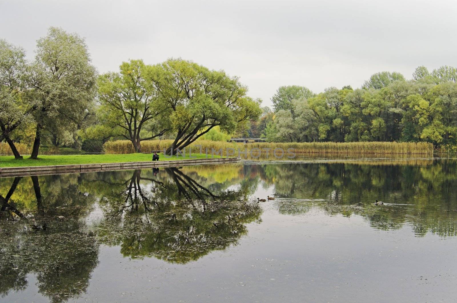 A lake in an early autumn park on a cloudy and foggy day, with a fisher-man and ducks.