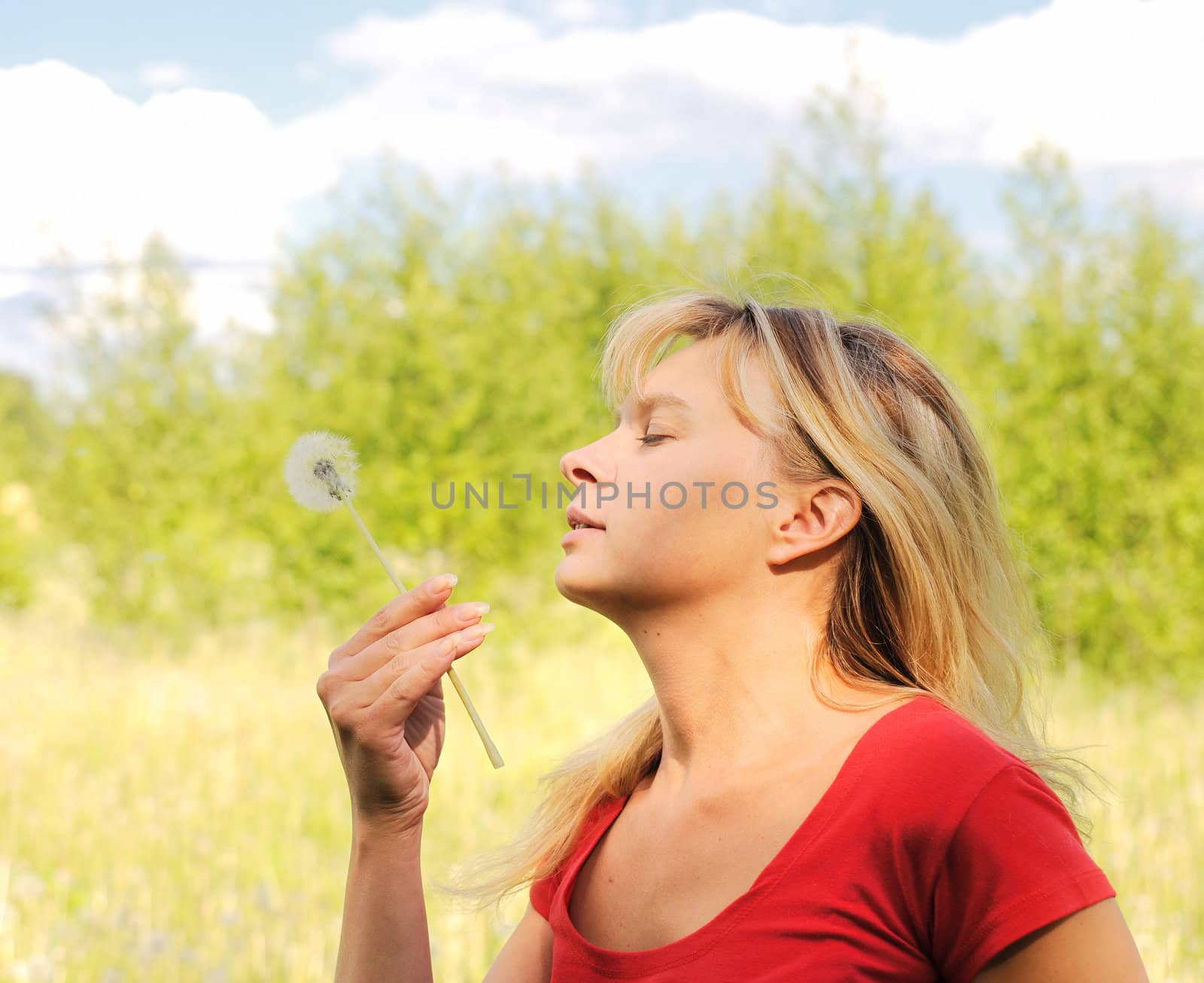 girl blow on dandelion in the field 