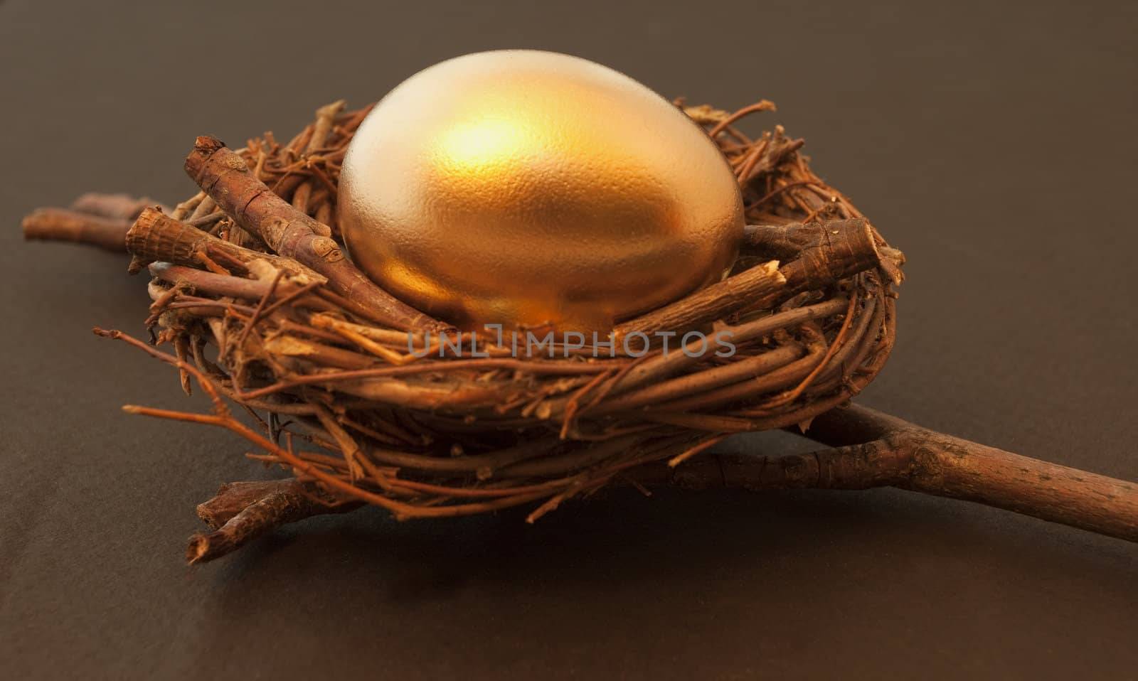 Golden egg in brown twig nest against black background