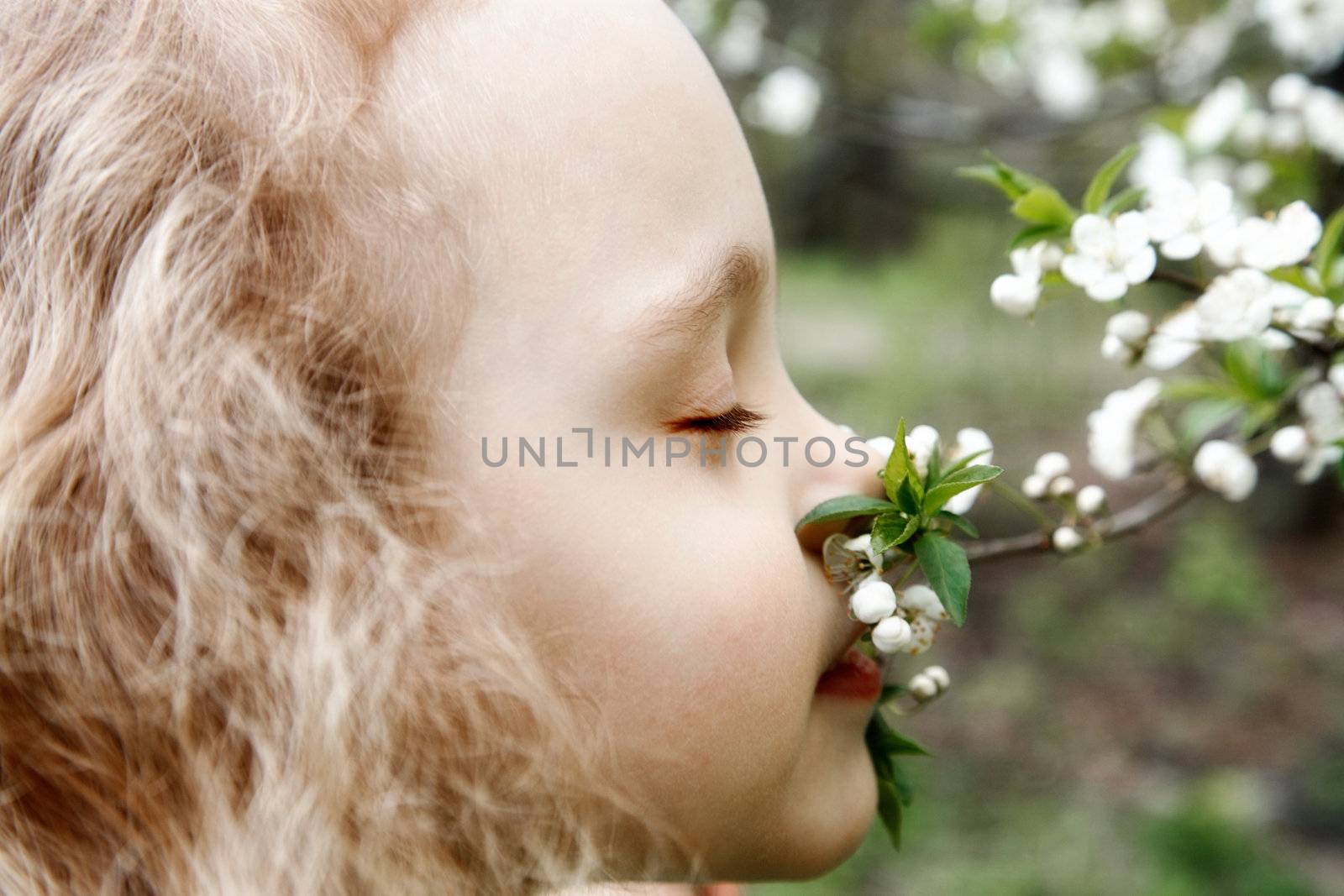 Beautiful little girl  smells a tree flower
