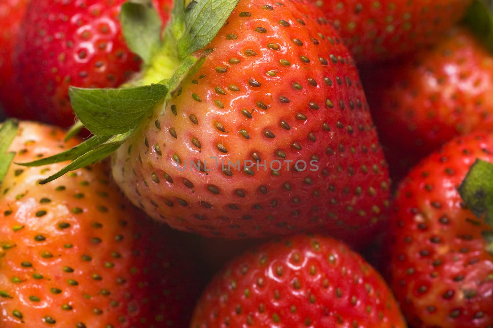 strawberry background 