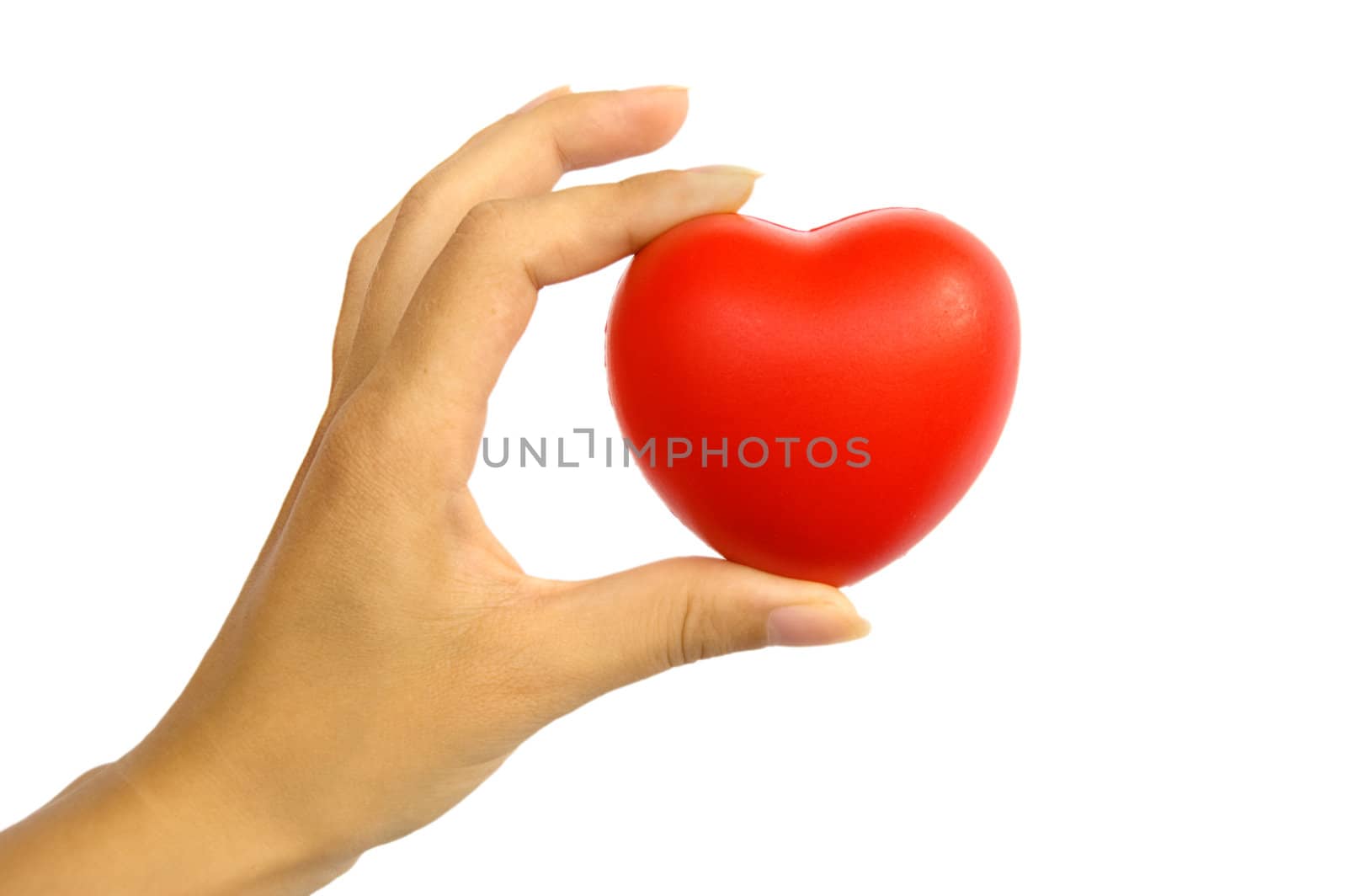 Red heart in woman's hand by Angel_a